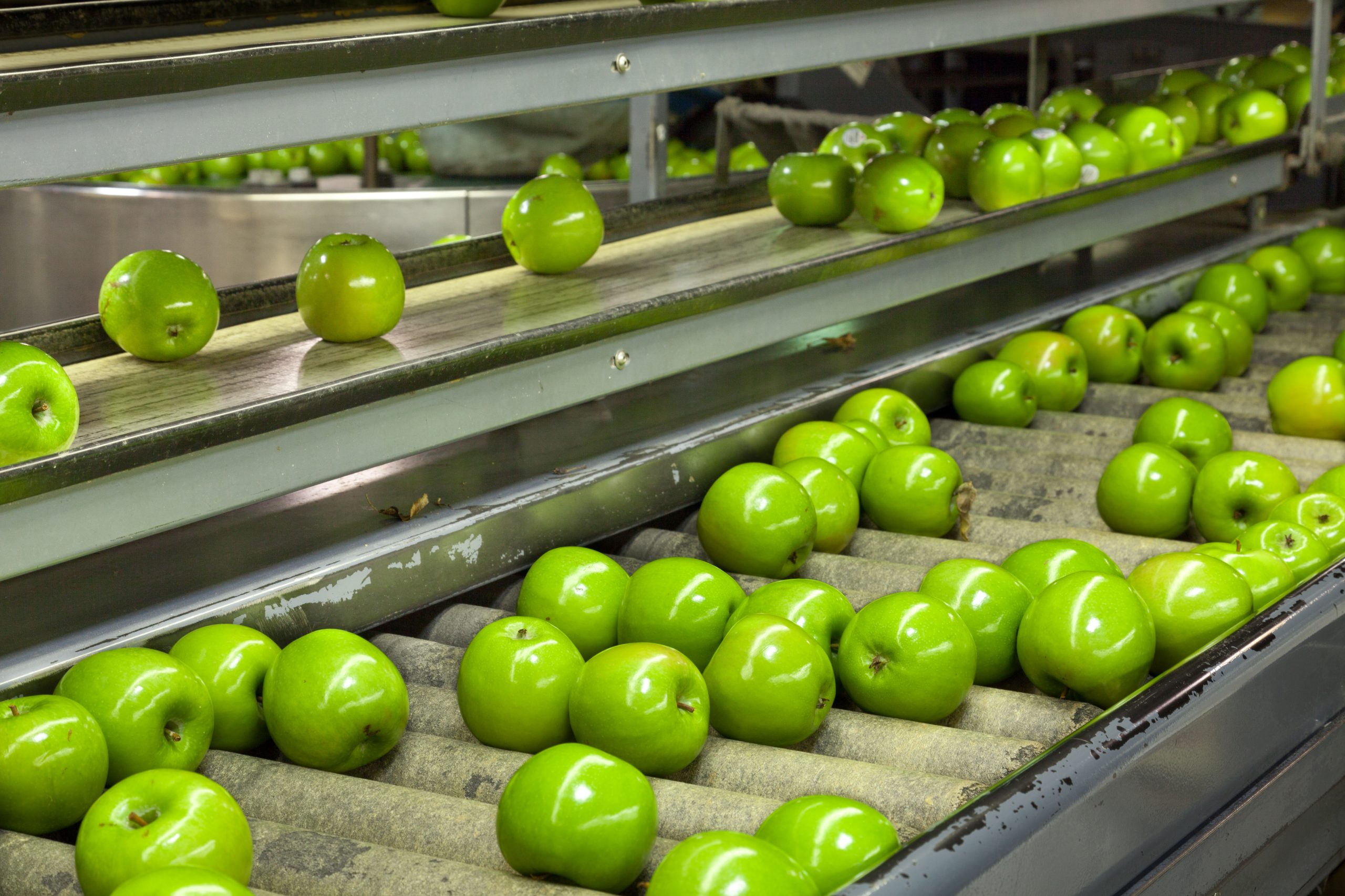 Apples